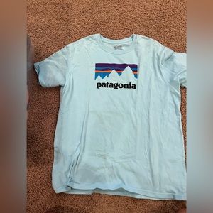 Light Mint Blue Patagonia Tee